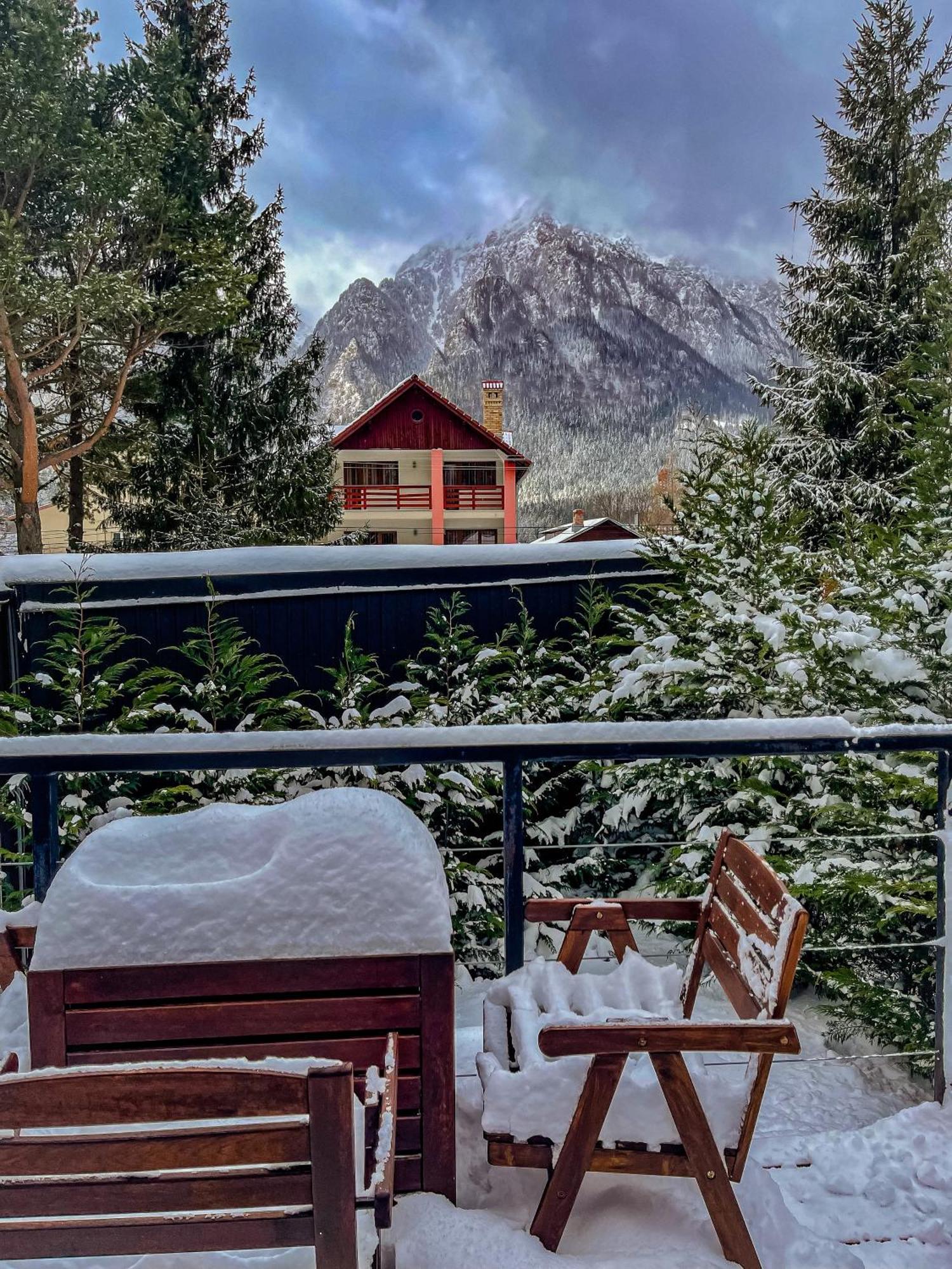 Moon Montana Buşteni Dış mekan fotoğraf